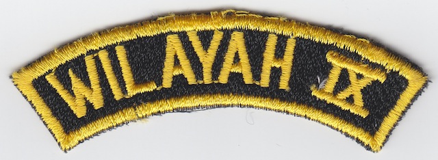 ID_041_Text_Patch_Wilayah_IX
