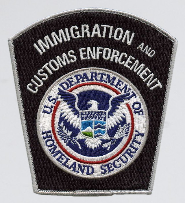 US 004 Immigration Customs Enforcement Shoulder Patch DW
