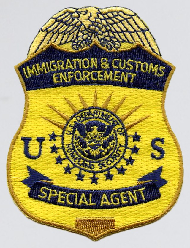 US 010 Immigration Customs Enforcement Special Agent Color Version DW