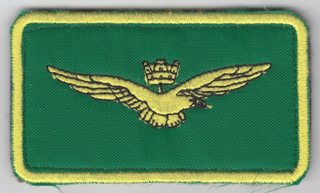 IT_048_Air__Marine_Customs_Service_Breast_Patch_Color_green